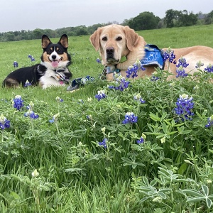 Team Page: Friends of Zenna